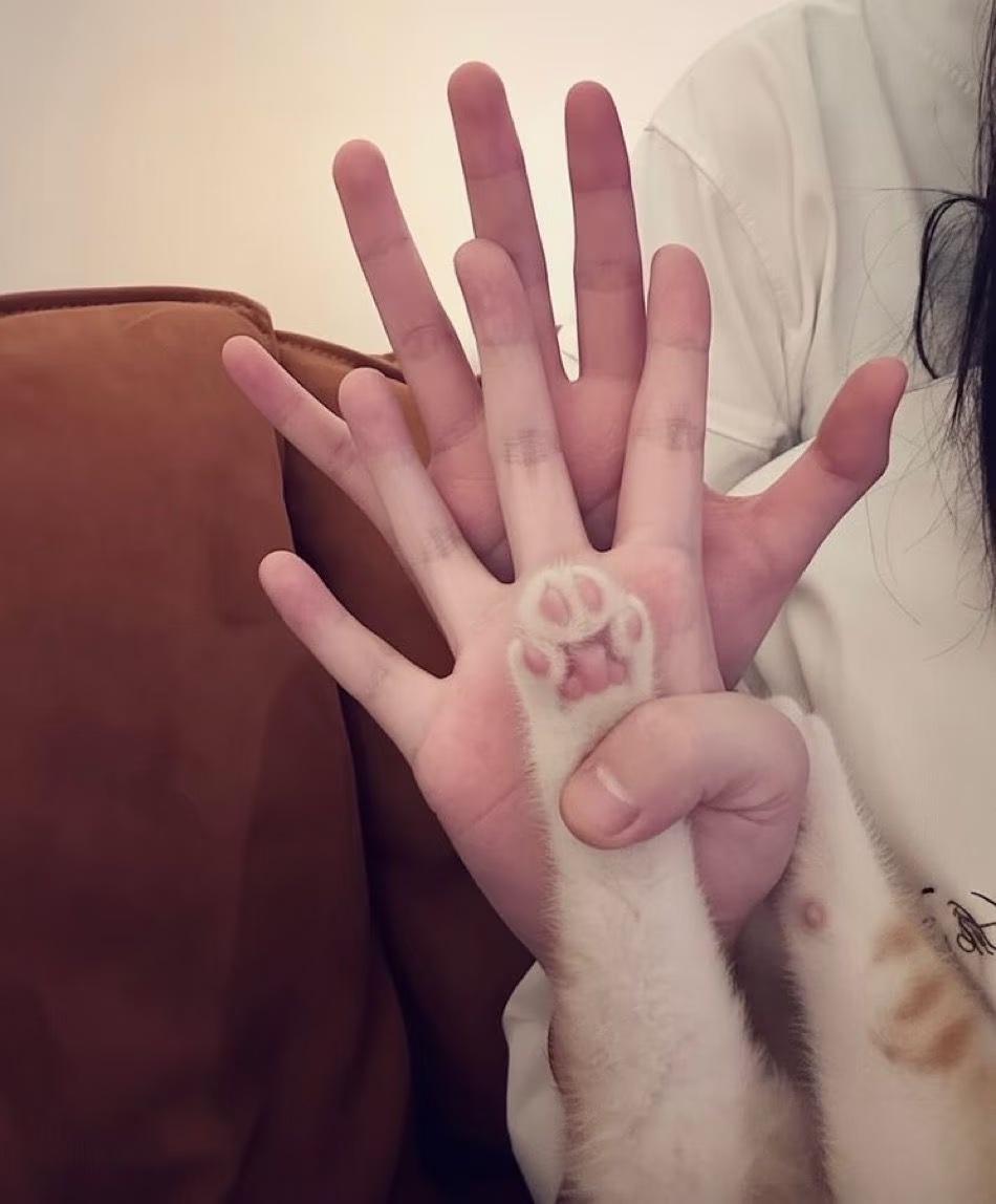 我家庭 