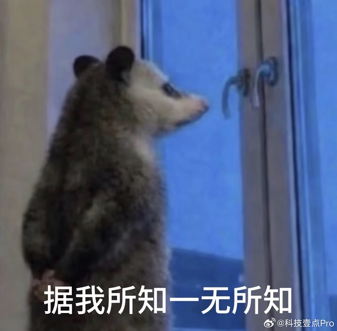苹果信息泄露 你也能手搓苹果开发板你说泄露个iPhone18的外观也还能理解，毕