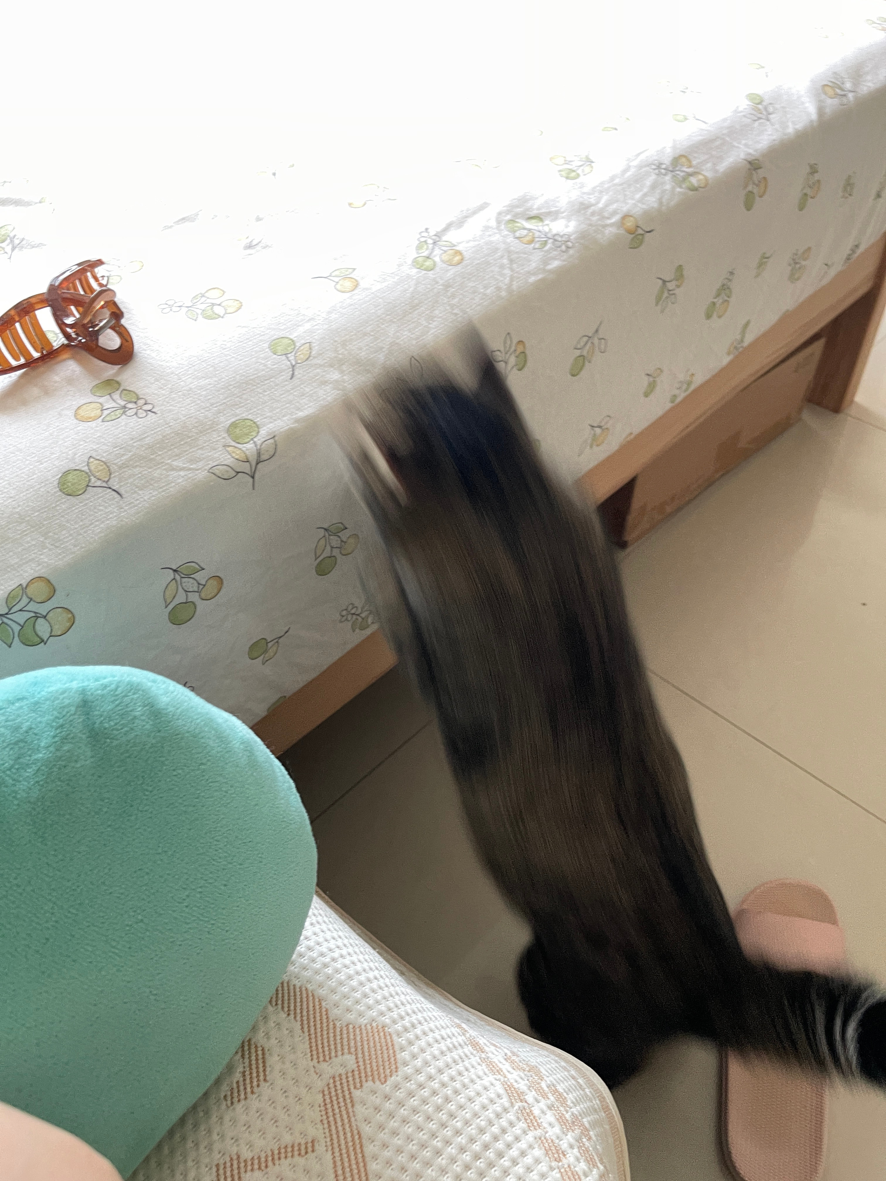 图一 大狸子鱼贼咕咕偷袭图二 大狸子鱼准备作案图三 大狸子鱼被妈妈驱赶至天花板图