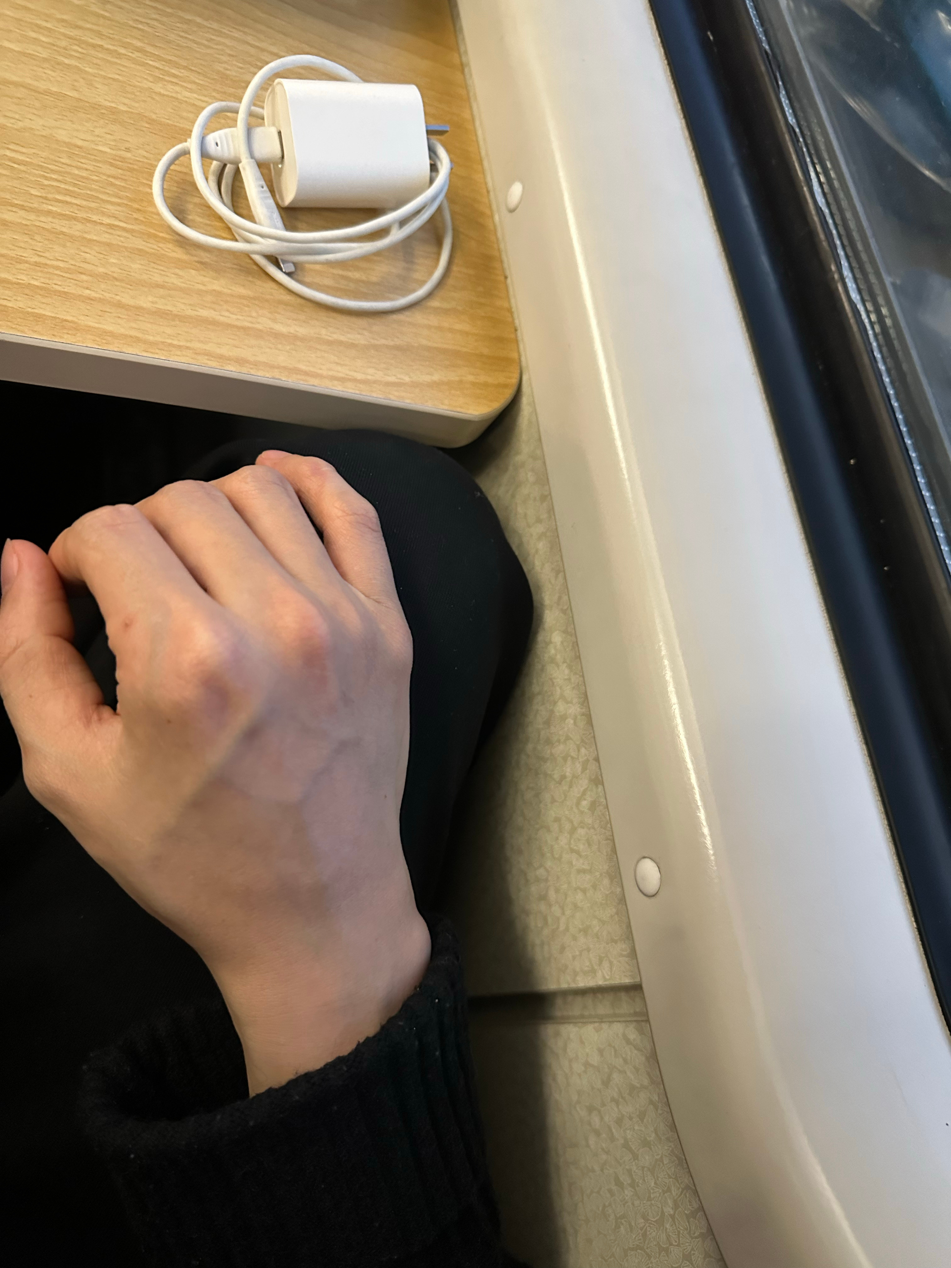 疯言鸟语 在火车上，一旁的女士把我挤得贴到窗边动弹不得她并非故意的，只是体型比较