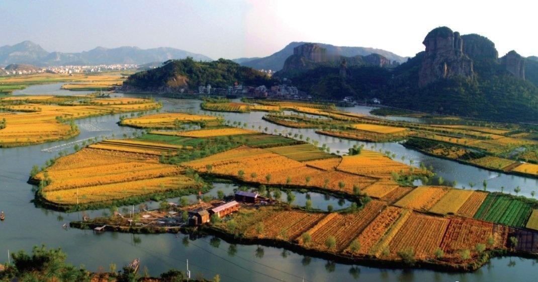 金黄稻浪与粼粼水光相拥，远山如黛，村落隐于其间，藏着江南水乡的诗意与丰收的欢歌。