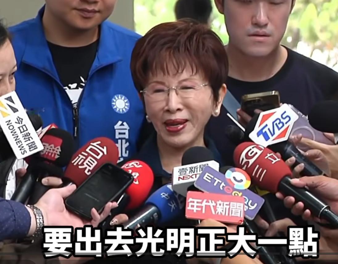 国民党前主席洪秀柱接受采访回应赖清德偷溜去斯威士兰称“这种夹带方式，实在有点偷鸡