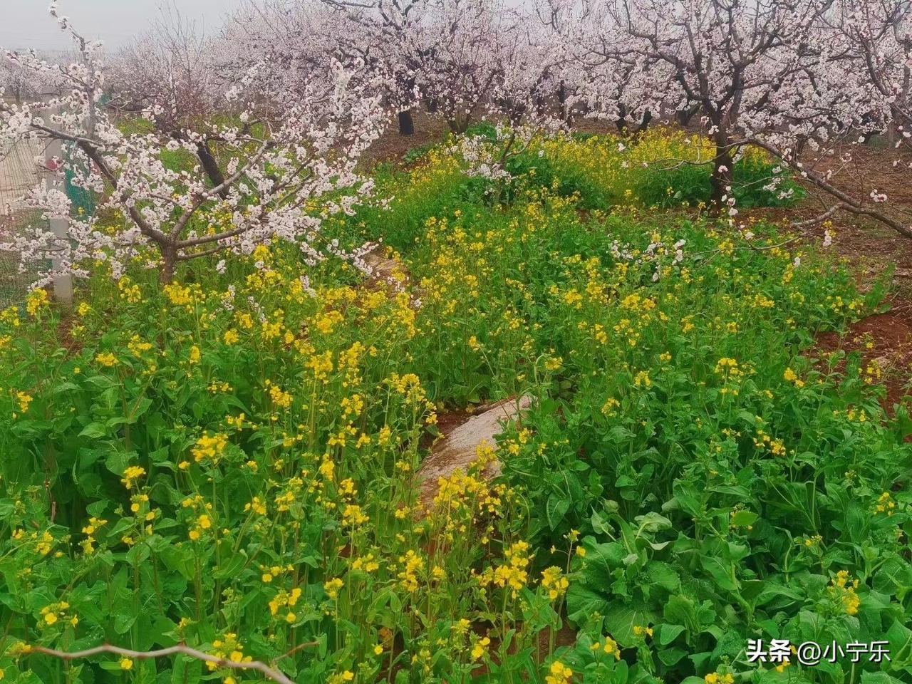 邻居家女子是一名政府退休人员，2个女儿一个儿子，只有小女儿让她最操心。小女儿是名