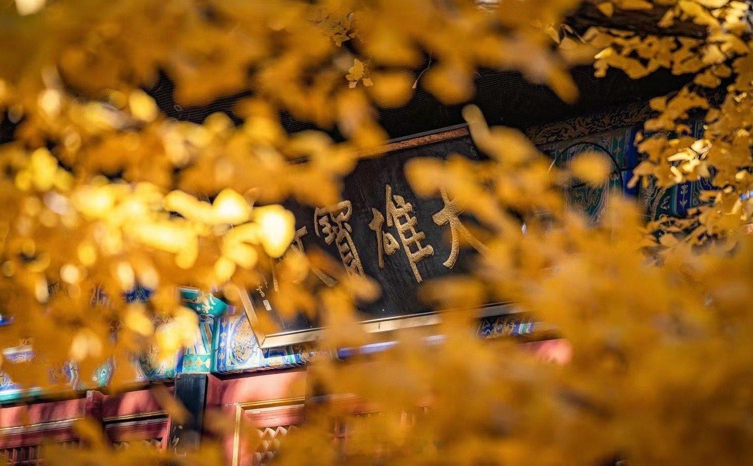 官杀混杂的女命，十有八九对婚姻不利，有丈夫与没有丈夫一样，容易出现闹离婚的现象，