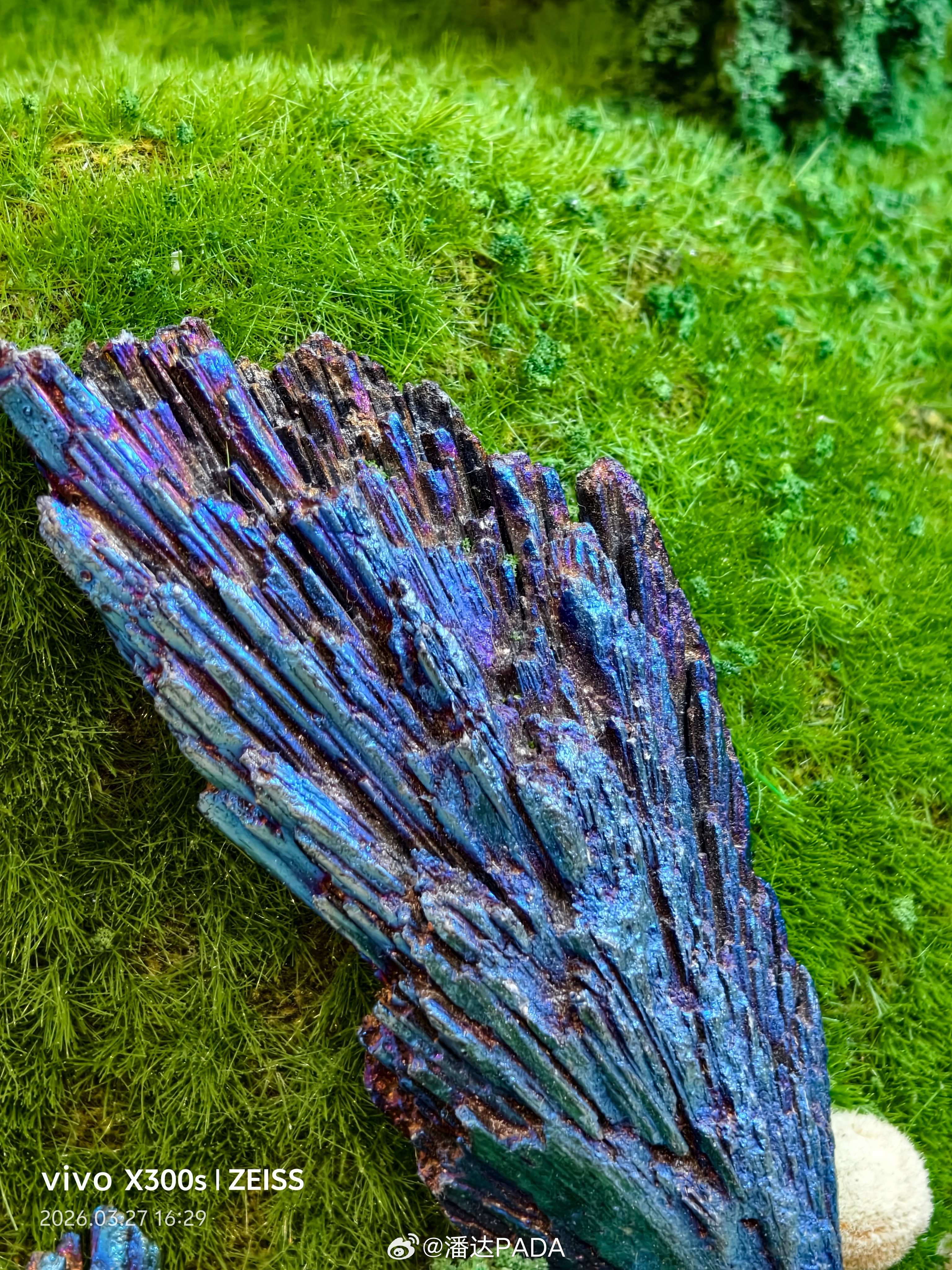今天去vivo店里把玩了一下vivo X300s，随手拍了几张图，影像真的是又大