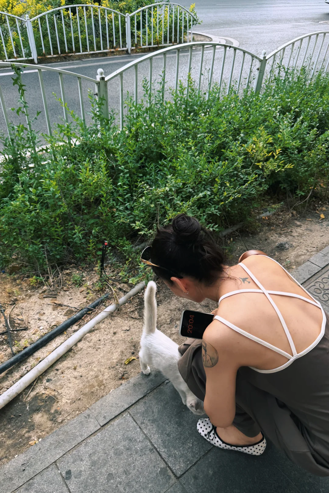 吸猫体质🐈