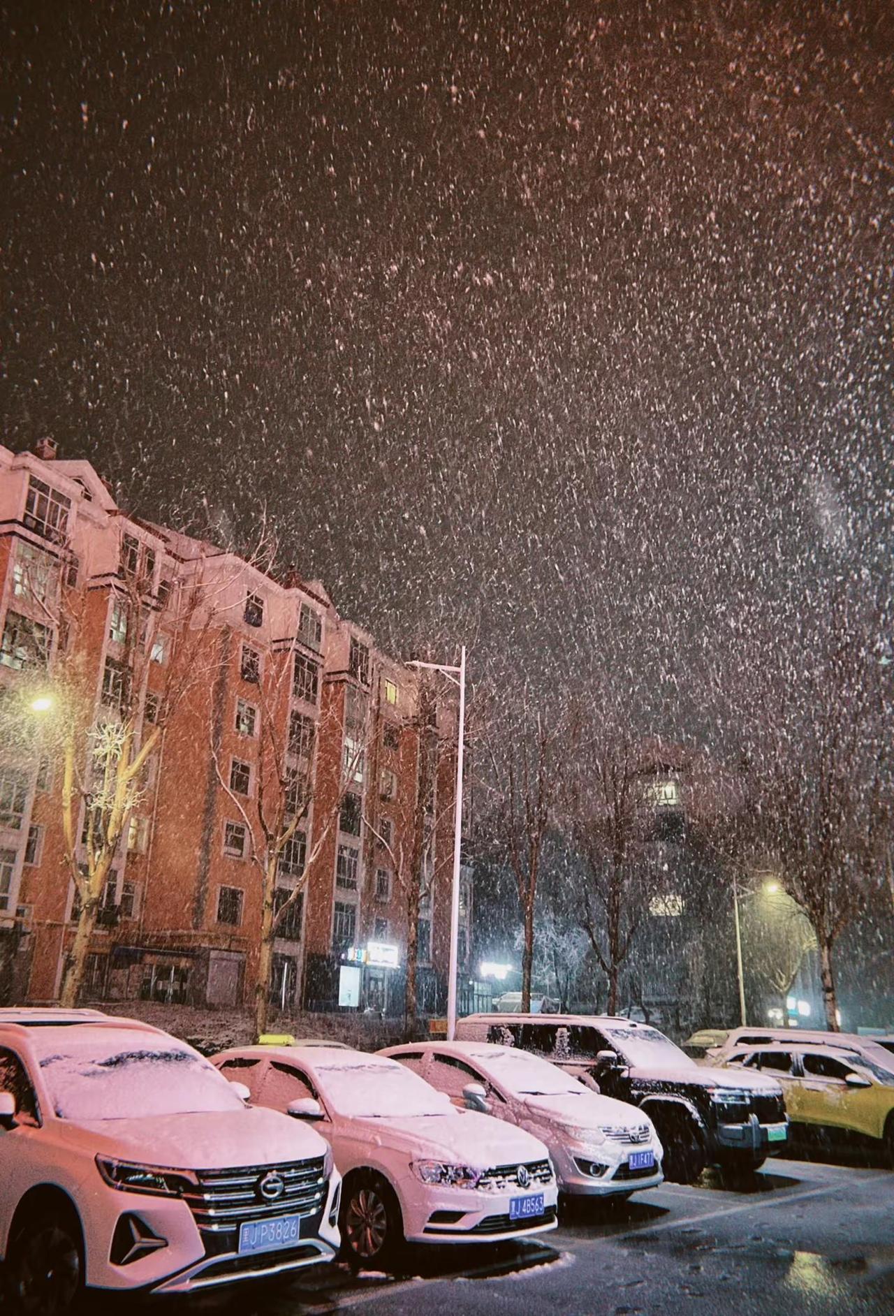 在山东失约的雪，在黑龙江一次看够了……4天下3次！！！