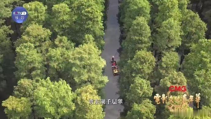 电影文化嘉年华来武汉赴一场电影文化之约 当江城烟火遇上电影盛宴，热干面唤醒清晨，