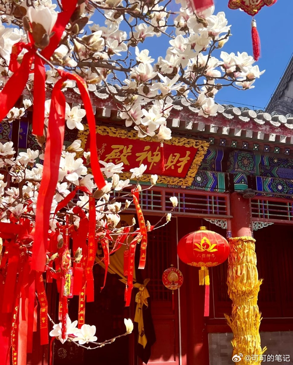 周二盘前思路指数进入震荡周期，目前构建企稳平台。情绪今天分歧，豫能盘前续杯，导致