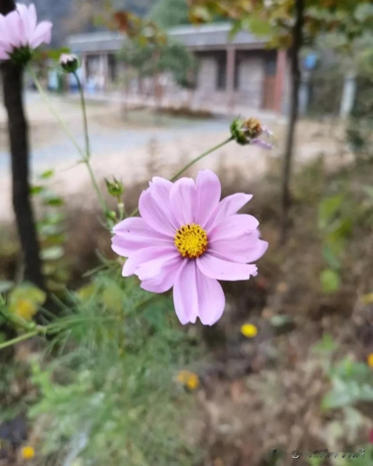 婚姻，这个千百年来被人们所讨论和探索的话题，承载着无数人的期望与梦想。对于男性而