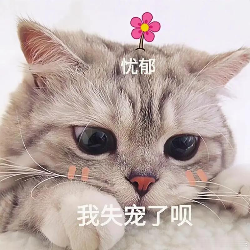 三只羊若构成虚假宣传或被行政处罚，直播领域虚假宣传普遍，非小杨哥一人问题。应只许