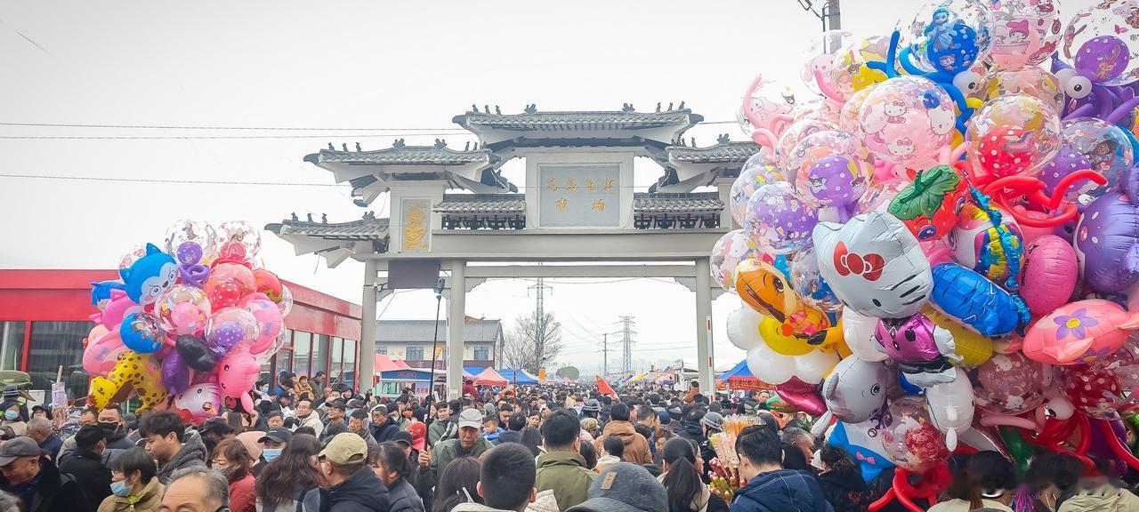 滁州狗市精简攻略🐶
 
每周日限定！滁州花鸟鱼虫市场（琅琊区紫薇中路与花园东路