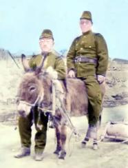 日本一步步让自己回不了头了
    先是高市早苗发表触及红线言论，紧接着开始威胁