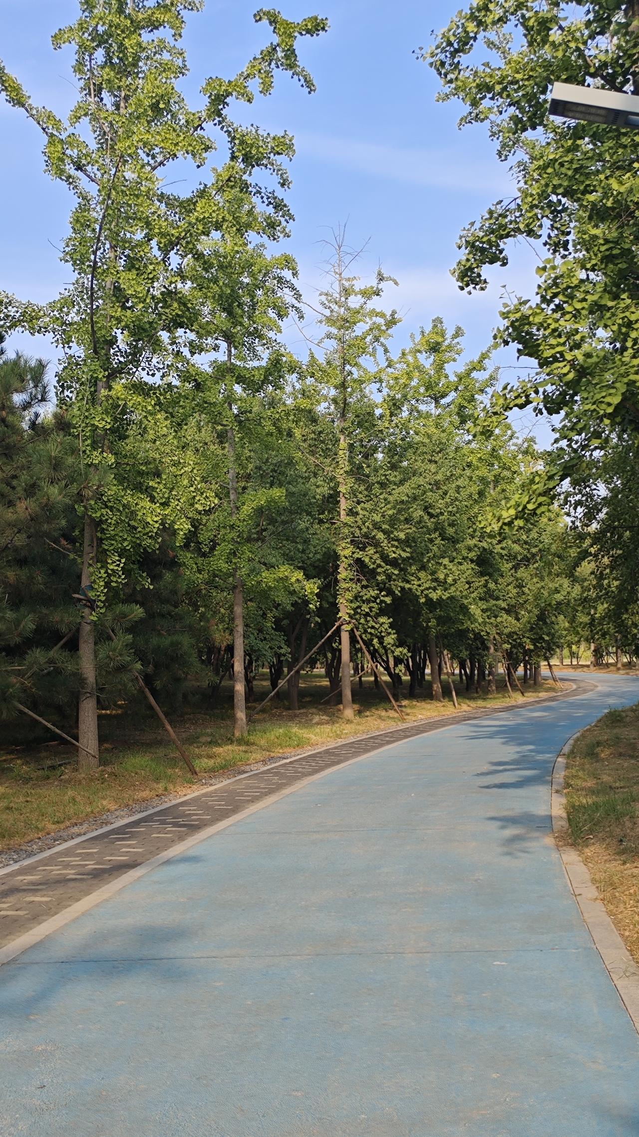 今夏随笔
 
夏日悄然落幕，回头细数郑州这一季的光景，着实让人印象深刻。
盛夏动