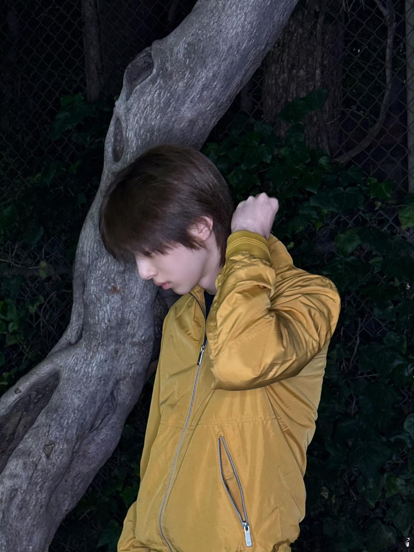 栀子花的种植方法：1. 选苗与土壤：挑选枝叶健壮、无黄叶无虫害的栀子花苗，土壤需