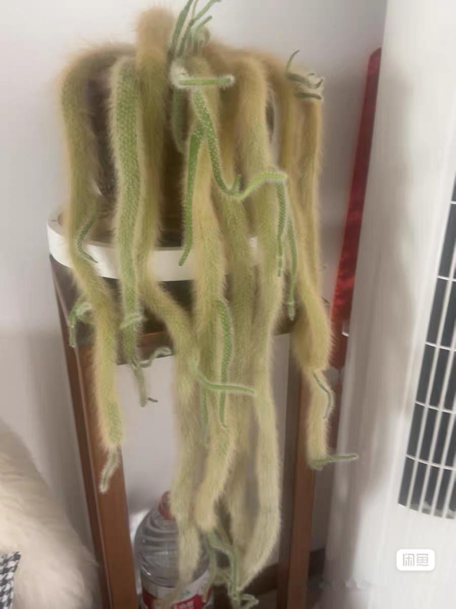 那些赚到钱的人,都做对了什么?赚钱，是别人对你解决问题后的回报。赚到钱的人，专注