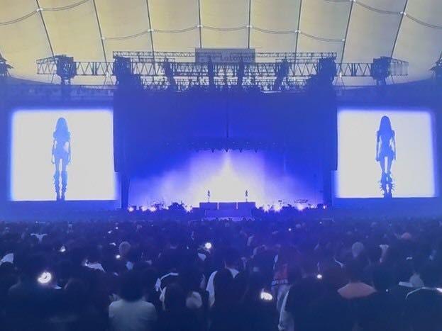 煮自己发的照片腿和吉一样长，何意味 