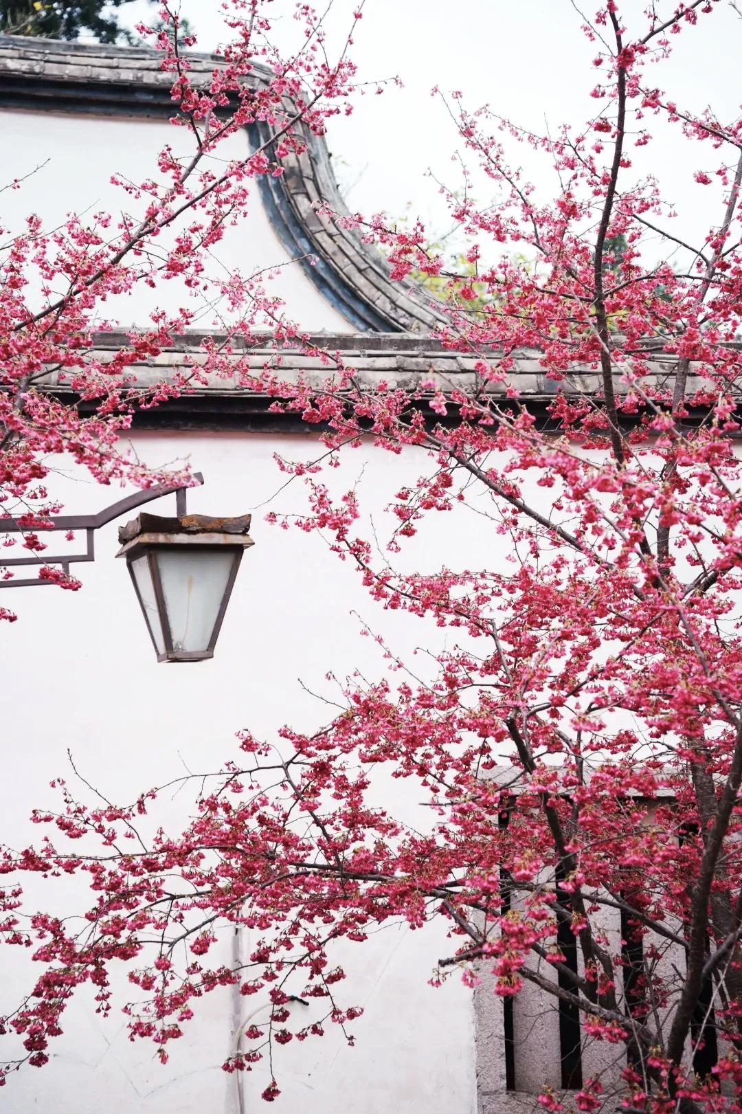 【活着活着就明白了，跟任何人较劲，都是在消耗自己；很多事最后不是解决了，而是算了