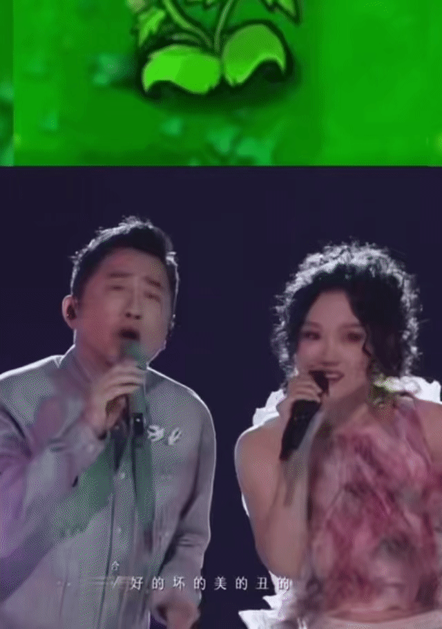 庾澄庆黄龄好像双头向日葵 声生不息这段表演太上头了，庾澄庆黄龄同步合唱的样子，像