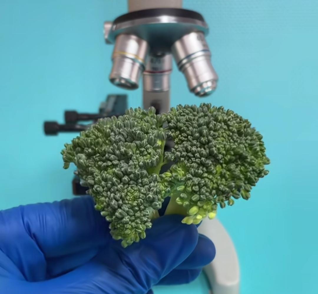 这些年，人民生活水平提高了，水果市场消费也随之热闹起来。
     而有些商家就