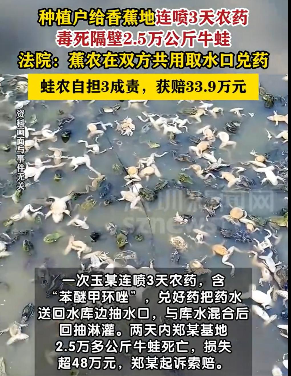 破防了！看完这个新闻，手里的香蕉突然不香了！

广西崇左，玉某种香蕉，郑某养牛蛙