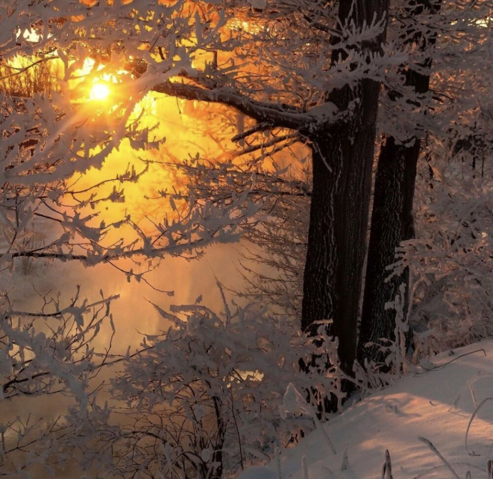 你不会失去从来就没占有过的东西。｜托妮·莫里森 