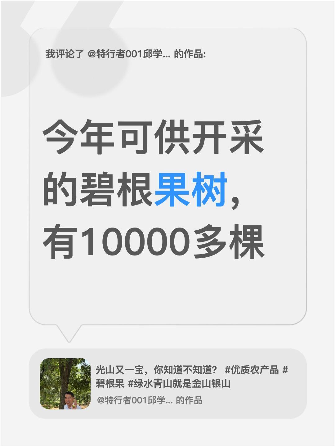 我评论了@特行者001邱学明 的作品：
今年可供开采的碧根果树，有10000多棵