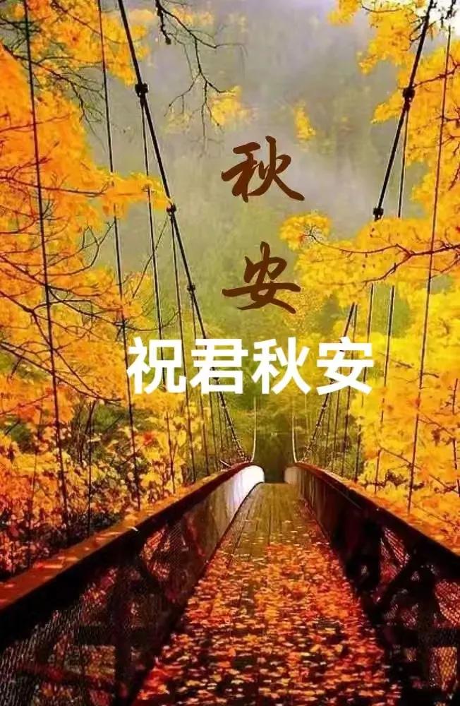 一场秋雨，送来浅浅秋凉

[玫瑰][心][玫瑰]

昨天，西安一场及时雨，灭了灭