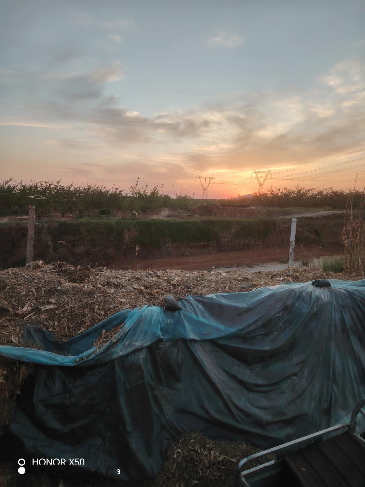 春日生活打卡季 黄昏时分，田野间的一片宁静