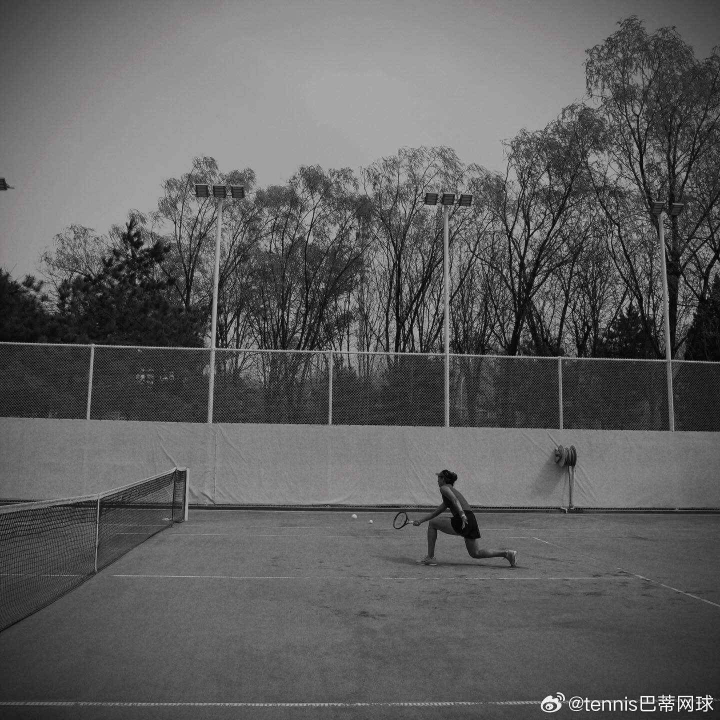 郑钦文ig更新训练照这手臂💪似乎又粗壮了，还有一周又可以重返赛场（WTA斯图加