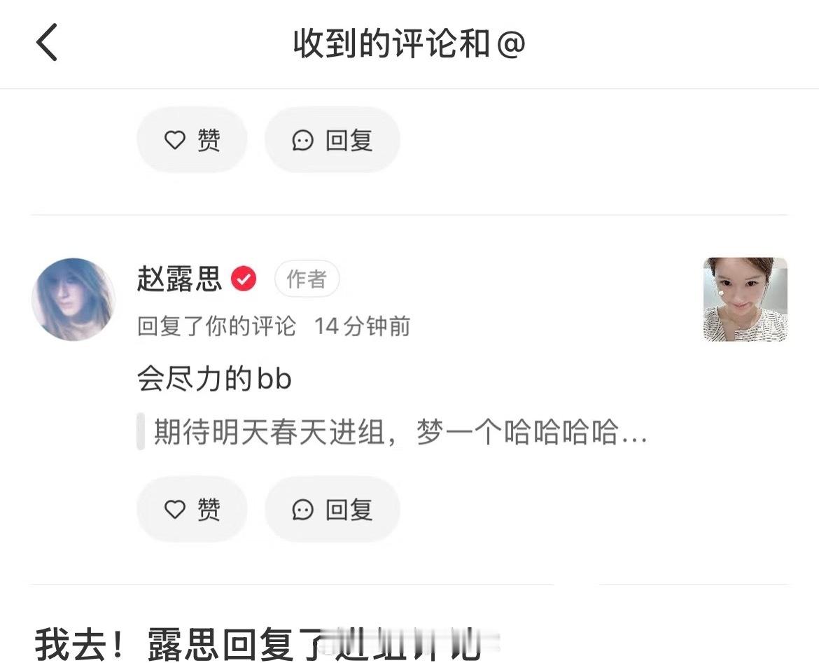 粉丝评论期待赵露思明年春天进组，赵露思回复表示会尽力的！终于要拍新剧了吗