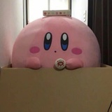 金贵逛逛影视剧