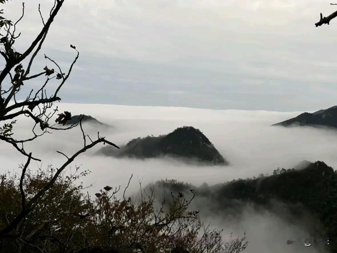 对太多事情无语。
今天就单单吐槽一下吃饭这件事情。
首先吐槽吃饭时间这一点。
无