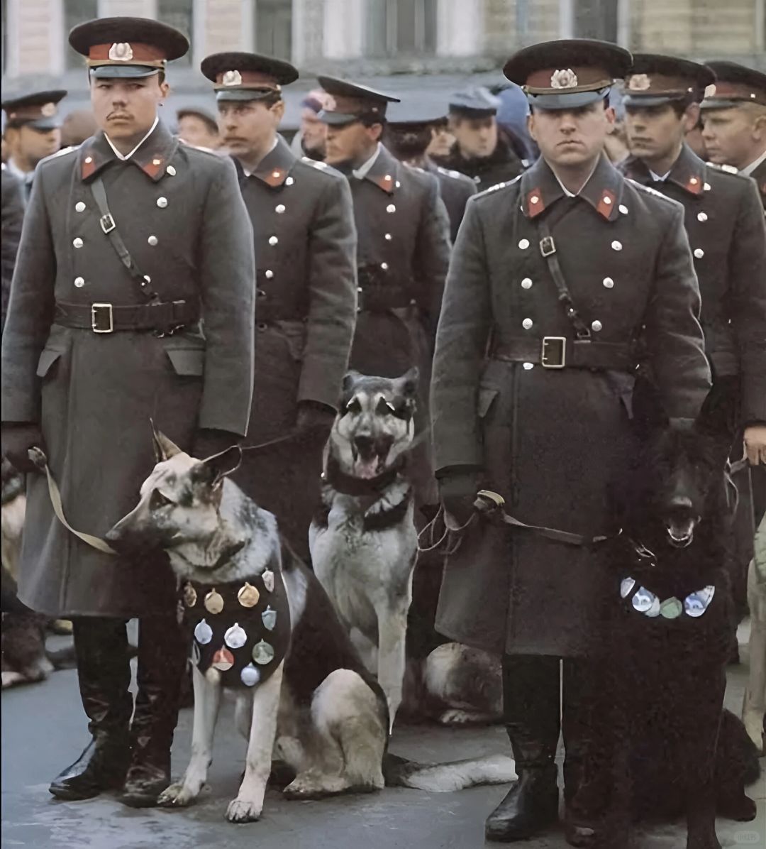 苏联时代的警察老照片