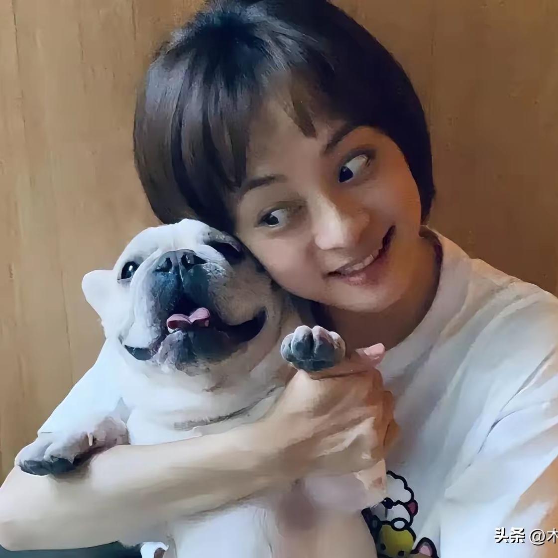 3月8日，孙俪发长文悼念相伴14年的小狗奶牛，本是真情流露，却没想到被骂上热搜，