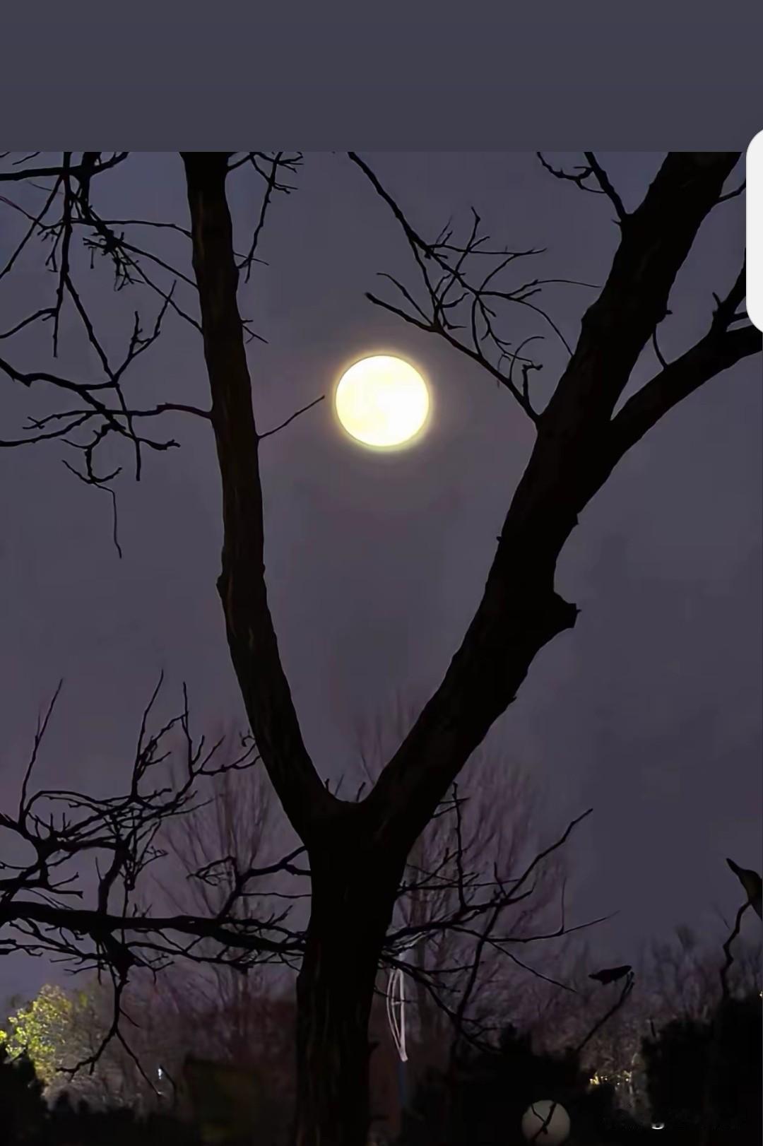 夫妻，偶尔分床睡，真不错
……
我今年50，偶尔和老公分床睡。
感觉很舒服。
