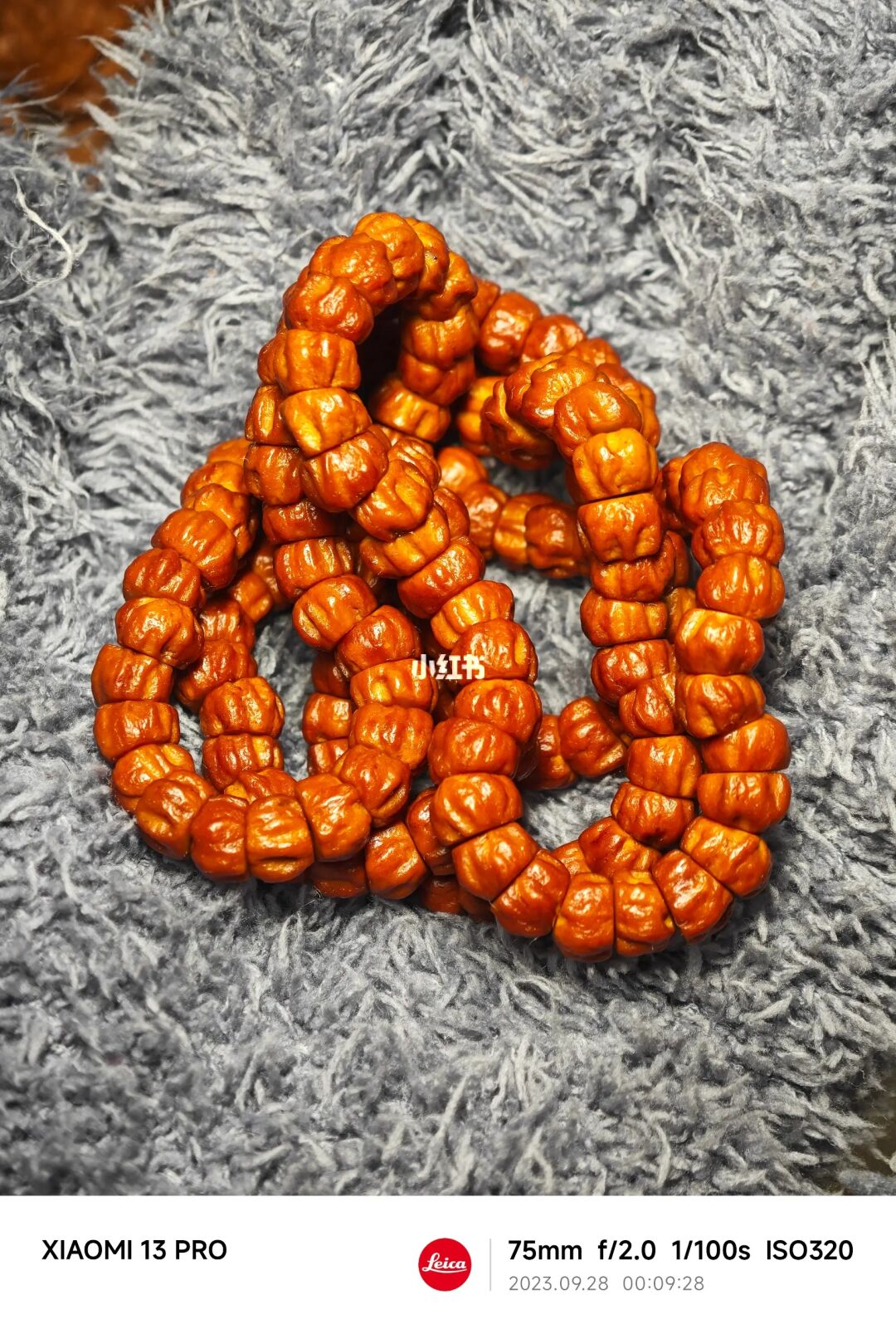 NO.269 柏香籽大肠