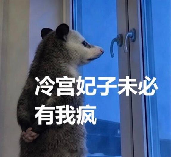 浙江小学生家长压力好大，杭州把中秋和国庆联合起来，开学不到一个月，连休13天 好