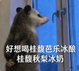 淘宝闪购小宝盒霸王茶姬举杯赏桂打工人奶茶福利上线！淘宝闪购霸王茶姬小宝盒，简单浏