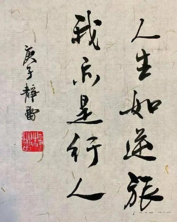 提到徐静蕾，就想起她在影视剧中塑造的各个经典角色。她不仅戏演得好，而且书法也是颇