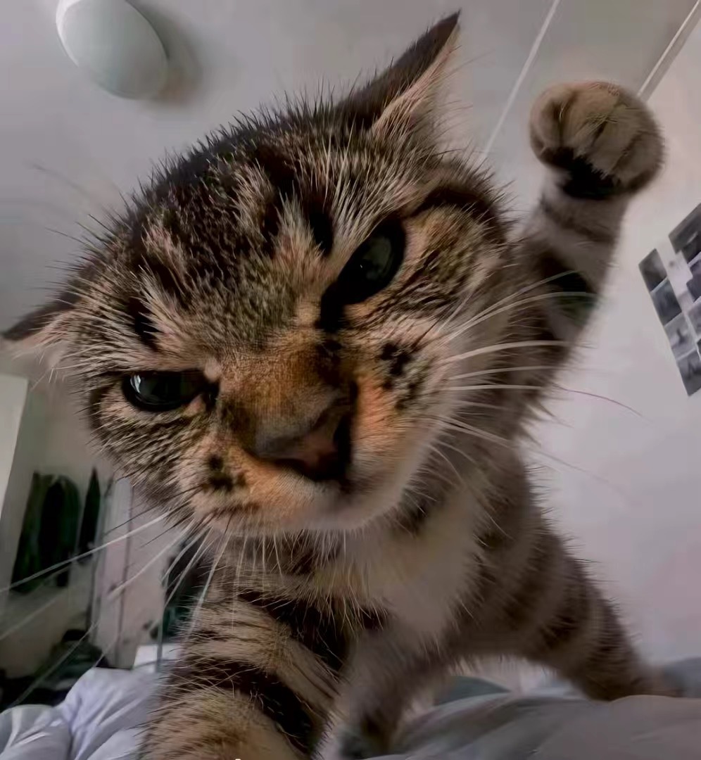 皇马就姆巴佩言论道歉哼😾 ​​​