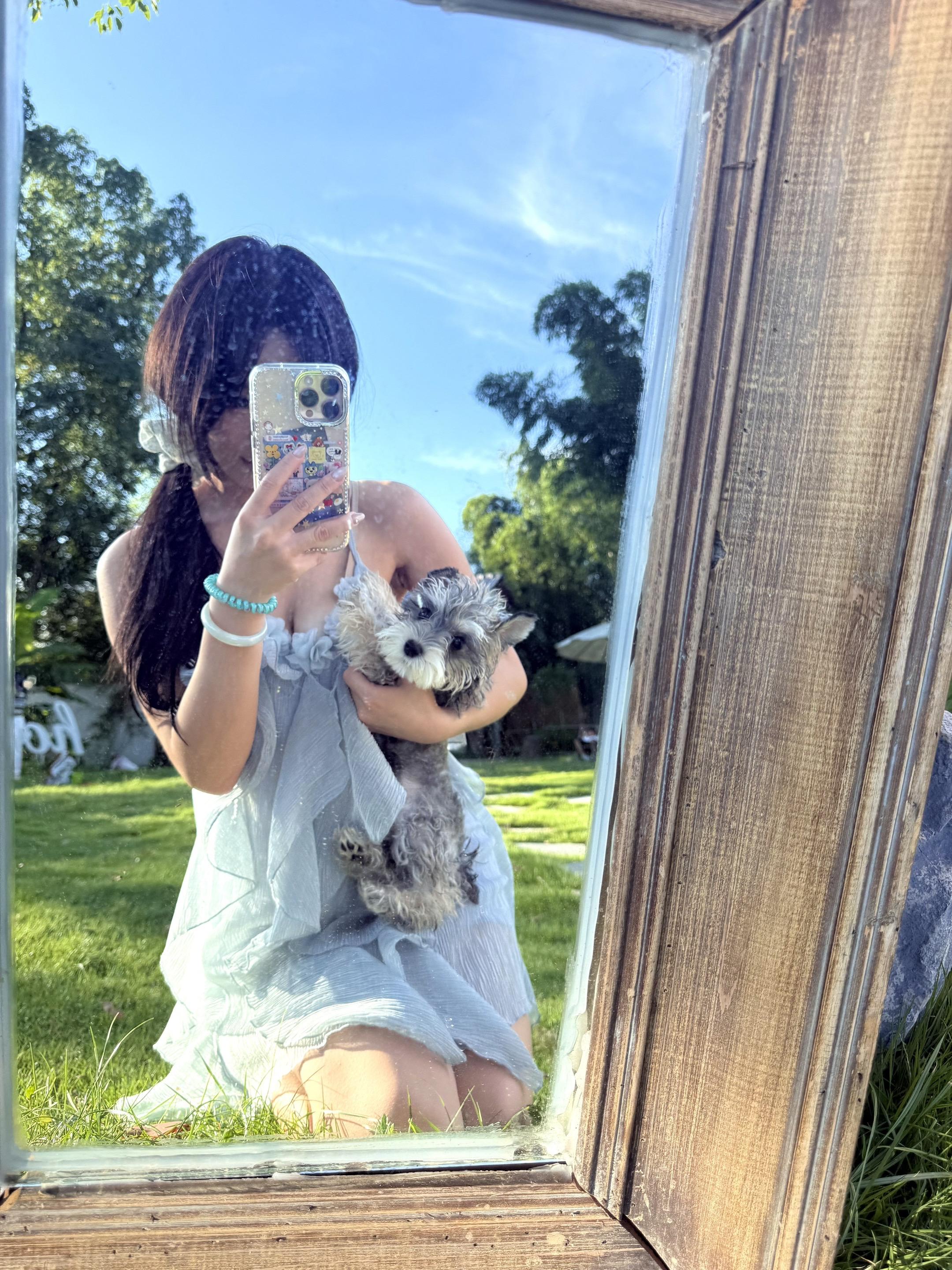 夏日 小狗 微风