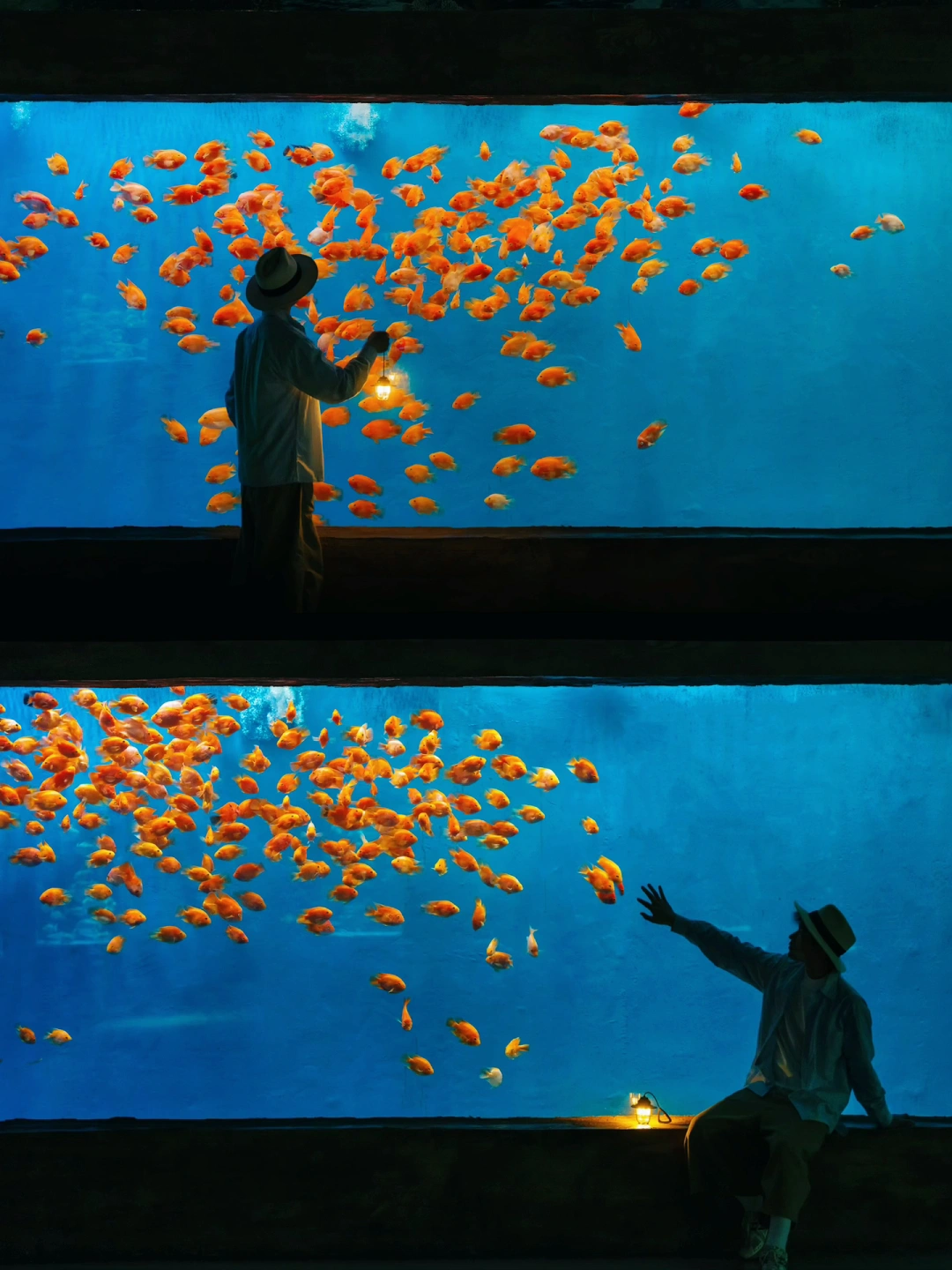 后悔才来，南京这个冷门又有趣的宝藏好去处