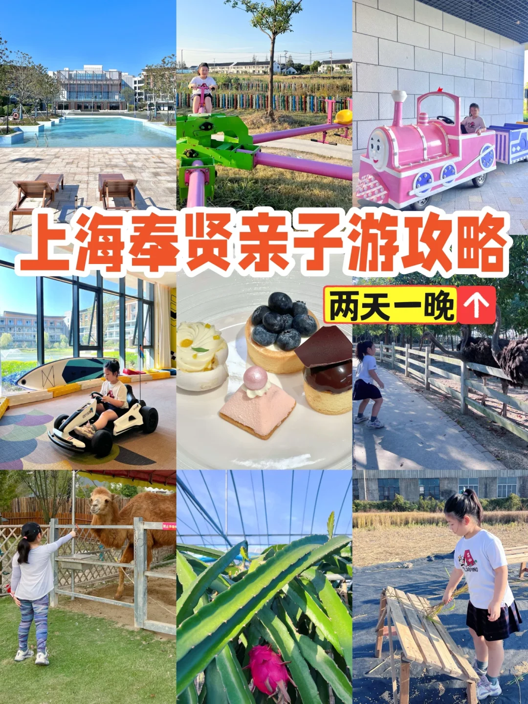 秋日遛娃图鉴🍂上海奉贤小众亲子游攻略💕