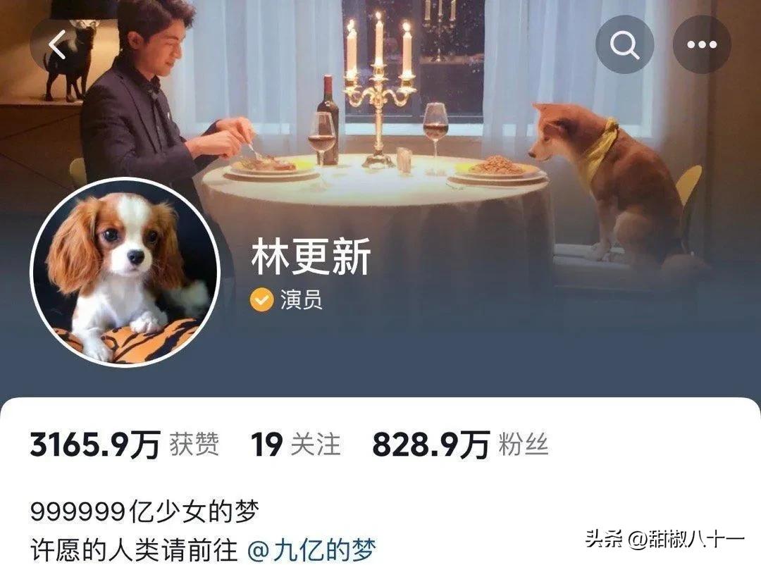噗哈哈……这自我介绍里的每一个字都散发出一股子浓郁的林狗味儿，一闻就是林更新能干