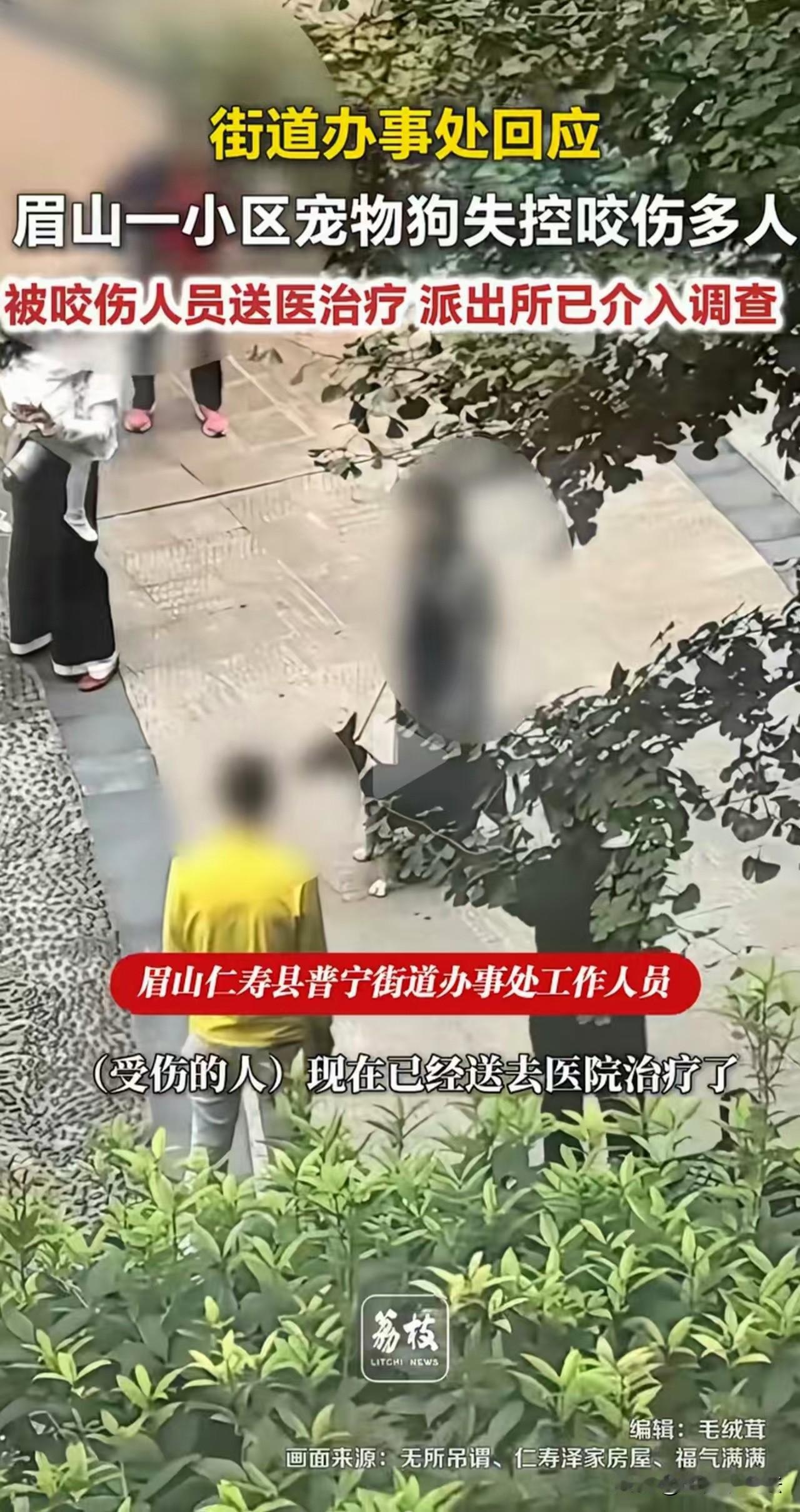 我的狗不咬人！四川眉山，一名女子饲养的狗突然失控撕咬一名三岁的女童，几名成年人上