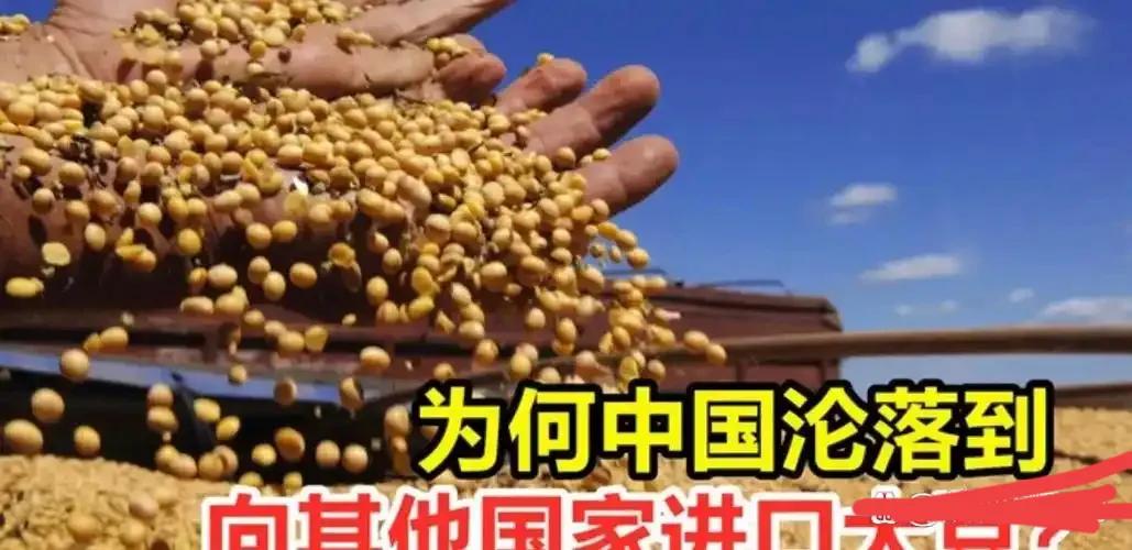 我国一直强调，必须牢牢端稳自己的饭碗，实现丰衣足食。要用十八亿亩耕地生产出足够的