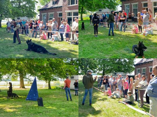 一个奔走在🇳🇱犬运动宣传前线的中国女人