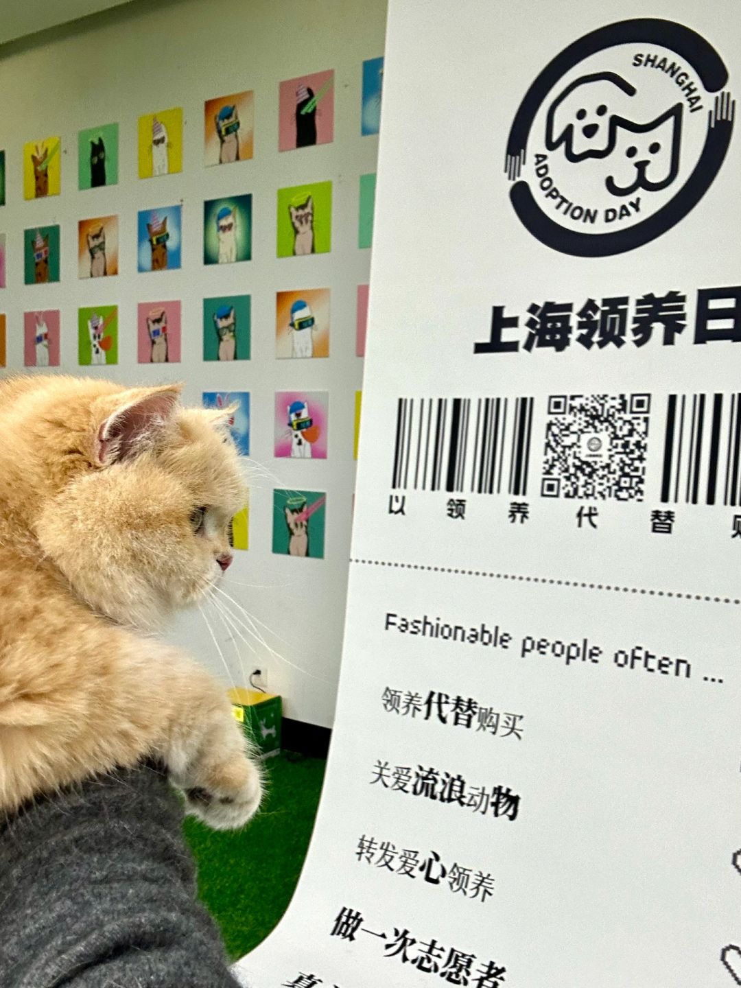 我在等你带我回家呐！
