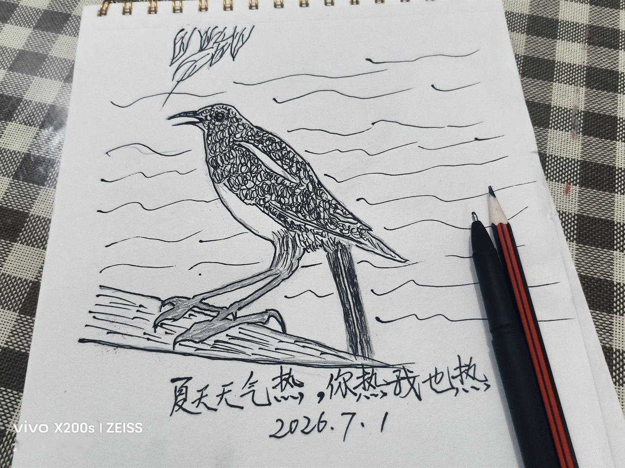 记录我的2026你热我也热：根据散步的用手机拍摄到的图片给画。